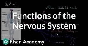 Functions of the nervous system | Organ Systems | MCAT | Khan Academy