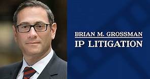 IP Litigation | Brian Grossman