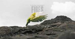 Tyler Ramsey - Fires (Official Audio)
