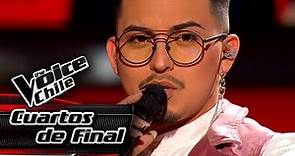 Ignacio Araneda - Así fue | Cuartos de Final | The Voice Chile