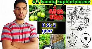 Euphorbiaceae family|| Floral formula, Vegetative characters and Economic importance B.Sc 2 year