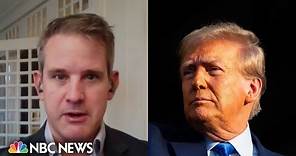 No one will admit to supporting Trump in 5-10 years, Kinzinger says