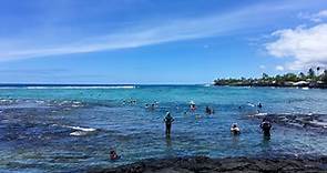 Kahaluʻu Beach Park: A GREAT Snorkeling Spot in Keauhou