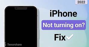 How to Fix iPhone Not Turning On 2022