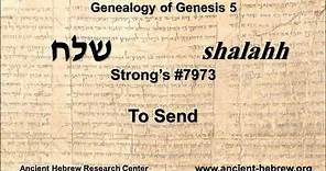 The Genealogy of Genesis 5