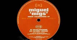 Miguel Migs - Petalpushing