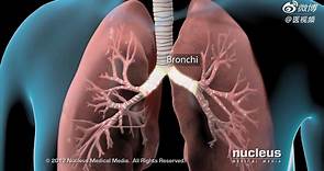 医学双语科普：慢性阻塞性肺疾病（COPD）