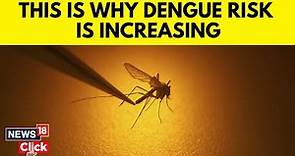 Dengue Outbreak 2023 | WHO Warns Of Dengue Risk As Global Warming Pushes Cases Near Historic Highs