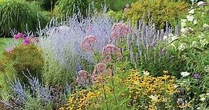 Introduction to Perennials