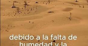 El Desierto de Atacama en Chile: ¡Un Viaje al Corazón de la Naturaleza!