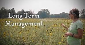 Long Term Management for Wildflower Meadows || Michigan Wildflower Farm