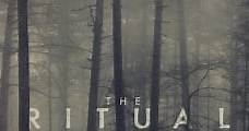 El ritual / The Ritual (2017) Online - Película Completa en Español - FULLTV