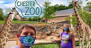 Chester Zoo Vlog June 2020