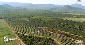 How this South African tomato farm is tapping into the hard-core fruits business