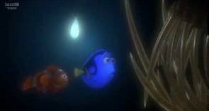 Buscando a Nemo 3D - Trailer Español Latino - FULL HD