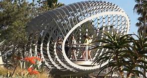 Tongva Park and the Angelbird - Cultural Daily