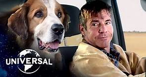 A Dog's Purpose (5th Anniversary) | Bailey Finds Ethan