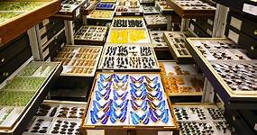 Inside the largest natural history collection in the world — the 147 million specimens hidden in the Smithsonian