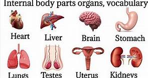 40 Basic Parts Of Body || Daily use English || Listen And Practice|| Internal Body Parts#bodyparts