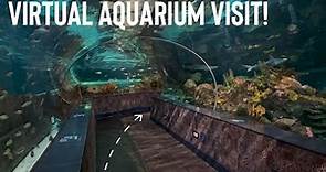 Ripley’s Aquarium of the Smokies in Gatlinburg, Tennessee- Virtual Visit