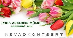 Lydia Adelheid Mölder - Sleeping Sun