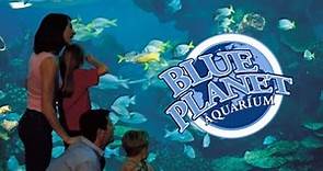 Blue Planet Aquarium - Cheshire Oaks - Full Tour from Entrance to End