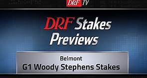 Woody Stephens Stakes Preview 2019