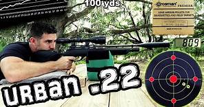 Gamo Urban .22 Air Rifle - 50 & 100 Yard Accuracy Test !! + FULL REVIEW - PCP Airgun - Pellet Gun