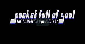 Pocket Full of Soul: The Harmonica Documentary