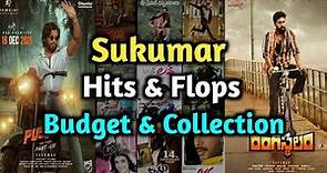 Sukumar telugu movies budget and box office collection | Sukumar All Telugu Movies