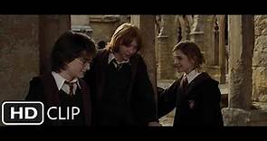 Fairwell scene | Harry Potter and the Goblet of Fire