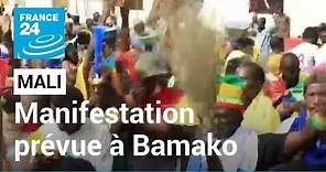 Mali : manifestation prévue à Bamako contre la Minusma • FRANCE 24