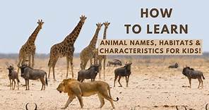 Animal Kingdom Adventure: Learn Animal Names, Habitats & Characteristics for Kids!