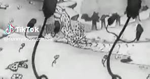 SILLY SYMPHONY QUANDO TORNA PRIMAVERA (1929) (Springtime) è un corto animato della serie Sinfonie allegre, prodotto e diretto da Walt Disney. È tornata la primavera: i fiori sbocciano e gli animali la salutano offrendole festose danze a ritmo di musica. Springtime is a Silly Symphonies animated Disney short film. It was released in 1929. It was the third Silly Symphonies film to be produced, just five days before the 1929 Stock Market Crash. #1929 #pescara #sillysymphonyswings #sillysymphonyedit