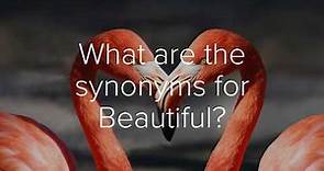 Best synonyms for Beautiful