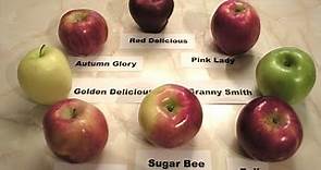 Apples 101 - About Red Delicious Apples