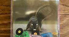 Evidence - Squirrel Tape Instrumentals