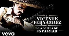 Vicente Fernández - A la Orilla de un Palmar (Letra/Lyrics)