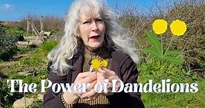 The Power of Dandelions