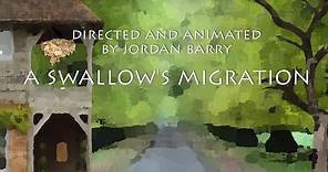 A Swallow's Migration - An Animated Short