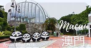 [Macao 🇲🇴 Trip Ep03] Giant Panda Pavilion l澳門大熊貓館 | 4K Macau