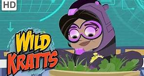 Wild Kratts - Aviva Transforms | Videos for Kids