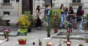 Un messaggio e una pianta in piazza per il clima: a Novara l'iniziativa di Fridays for future