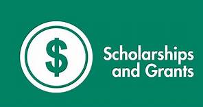 What are Scholarships and Grants?