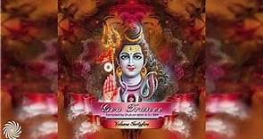 Goa Trance Vol. 45 (Full Album)