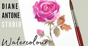 How to Paint a Watercolor Rose - Easy Beginners Real Time Step by Step Painting Art Tutorial