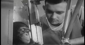 Se cumplen 50 años de la conquista del espacio del mono Ham