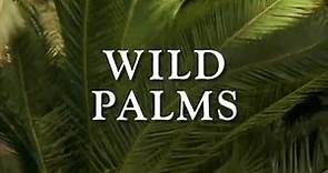 Classic TV Theme: Wild Palms (Full Stereo)