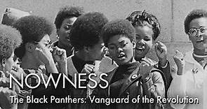"The Black Panthers: Vanguard of the Revolution," a documentary on the 60s civil rights group