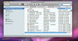 How to Search for Files and Folders on a Mac For Dummies
